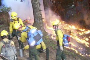 Hilltop Fire