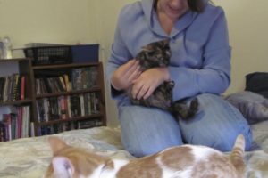 Tiffany Personett, of Camas, holds one of her foster kittens as another 5-month old plays with a toy nearby. "I just believe that anyone who has ever wanted cats or any animal should get involved with this, if they've got the space and the time," she said. "It's not that hard and complicated - just giving them love and attention." A dinner and auction, to benefit the West Columbia Gorge Humane Society, are planned for Saturday, at 5:30 p.m., at Heathman Lodge, 7801 N.E. Greenwood Drive, Vancouver.