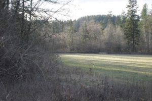 This will be the new site of the Camas east elementary school, set to open in the fall of 2013. It will house 600 students.