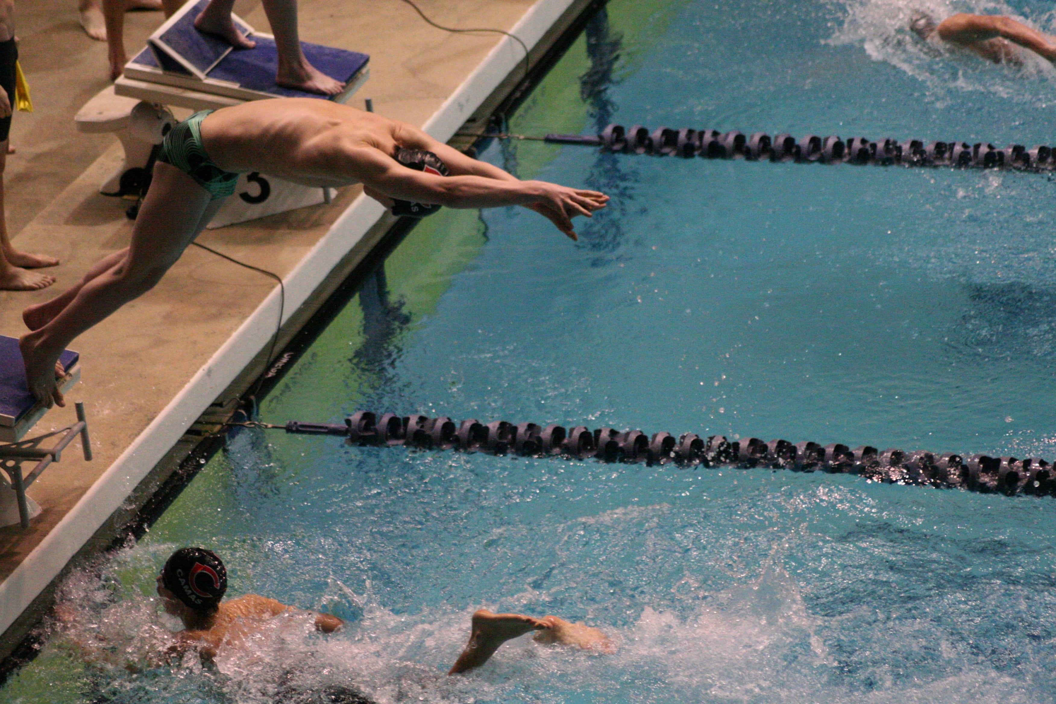 Freestyle relay