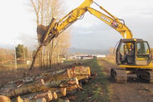 Doug Ziegler, an operator with Green Construction, of Washougal, used an excavator Thursday, to remove cottonwood trees from the Port of Camas-Washougal levee near Steamboat Landing.