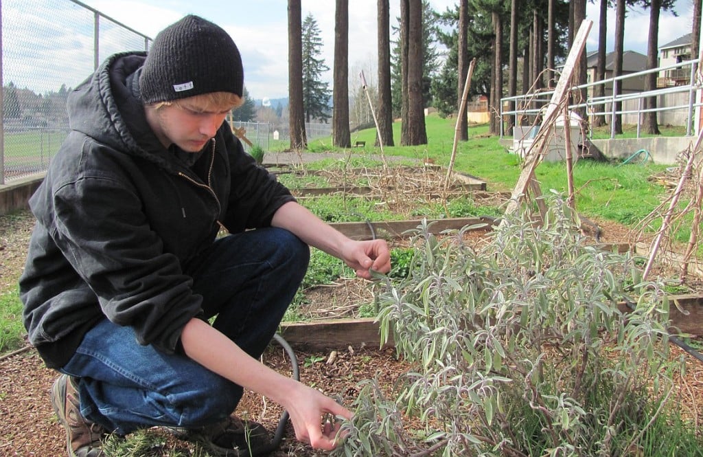 Jordon Hysmith is planning to rebuild the garden beds at Excelsior High School from the current 3 inches deep to 16 inches, so that a wider variety of fruits and vegetables can be planted. These will feed students in need, as well as be donated to local food banks.