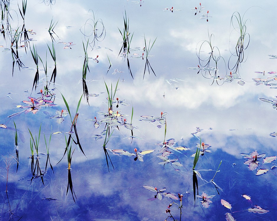 "Pond Fantasy," was one of Kassab's earliest photographs and it won a place in the Professional Photographers of America traveling loan collection.