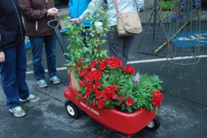 Plants, flowers, herbs and garden art will be available on Saturday during the 18th annual Camas Plant and Garden Fair in downtown. With weather conditions expected to reach 80 degrees, organizers can expect  a busy day.
