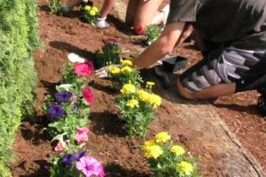 Nikayla Banks, vice president of the Washougal High School Interact Club, and member Nick Costa-Stange, planted marigolds and pansies Friday afternoon at the Washougal Memorial Cemetery. Several Interact members were involved in the volunteer planting effort, to prepare the site for Memorial Day weekend.