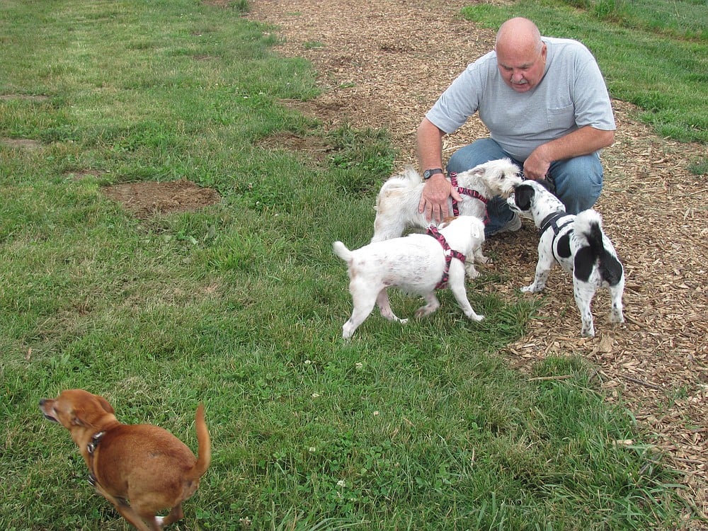 Dogs and their owners enjoy the open spaces of the Donald and Angeline Stevenson Off Leash Area, at 32nd and Addy streets in Washougal. The park includes a separate area for smaller dogs.