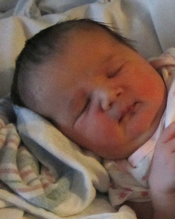 Cora Analeigh Eddy