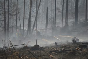 A wildfire was reported on Monday, approximately 7.5 miles past Dougan Falls in west Skamania County. As of Monday, it burned approximately 60 acres and is 100 percent contained. Some mop-up operations are underway.  (Photo courtesy of Mary McDonald/DNR) 