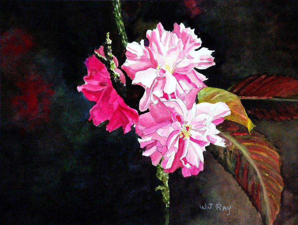 Cherry Blossoms celebrates clean lines with color throughout.