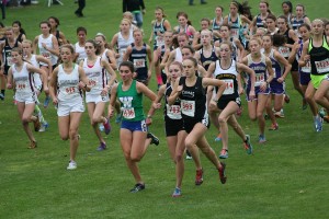 Alexa Efraimson (593) beat the other 4A state championship competitors up the hill at the Sun Willows golf course Saturday, and never looked back. She clinched first place with a time of 17:34.2. For more photos, visit www.camaspostrecord.com.