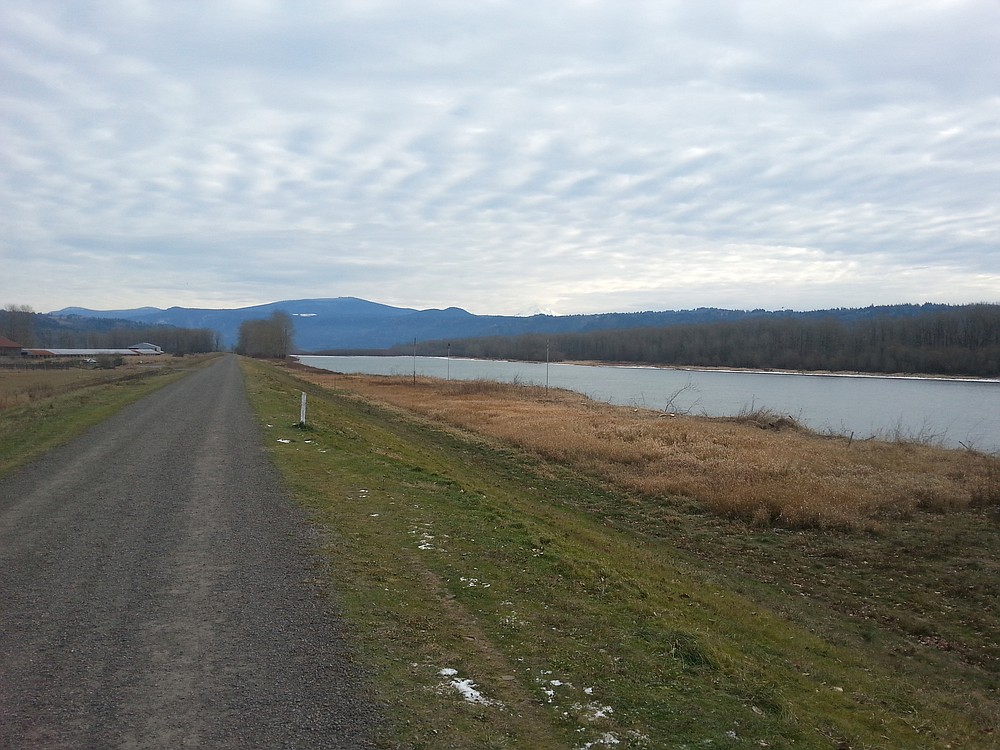 This photograph taken by Jay Elder shows the dike trail after the removal of trees and vegetation in the area of the dike near the Steigerwald Lake National Wildlife Refuge, in Washougal. The removal of trees and shrubs 15 feet from the toe of the Columbia River dike is required by the U.S. Army Corps of Engineers, to maintain the integrity of the dike. Elder is seeking volunteers to flag trees with the hope they will not be removed between the dike and the river.