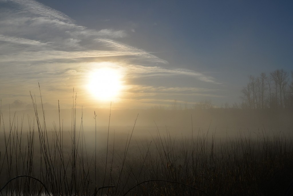 Sherri Irish noted that the scenery in this image, "makes the morning seem mystical."