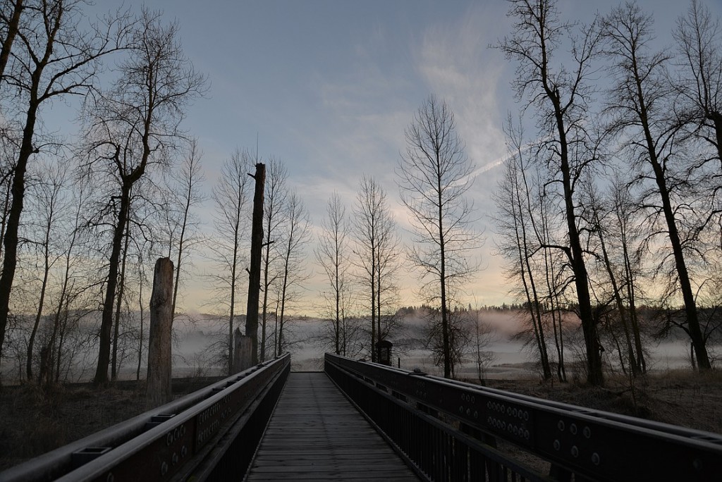 Irish enjoys featuring local scenery in her photos, such as this shot of the bridge over Steigerwald Lake.