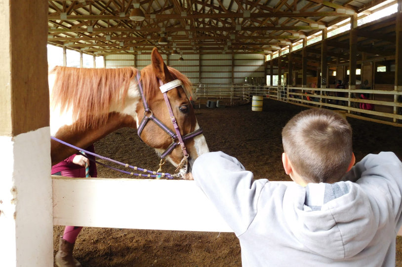 Cisco recently celebrated his 32nd birthday at Son Rise Ranch in the Fern Prairie area. He is still active and participates in competitions.