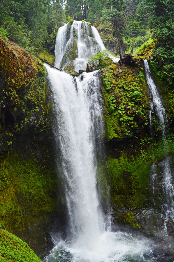 Falls Creek Falls is a three-tiered waterfall in the Gifford Pinchot National Forest. Drive 35 miles east to Carson and then another 15 miles up Wind River Road to find the access route to the parking lot.