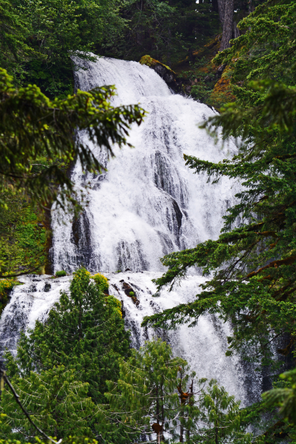 Peeking through the trees to see the upper section of the falls. There is a steep, switchback trail that takes hikers all the way to the top.