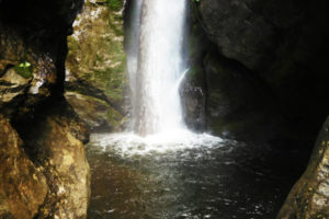 At Pool of the Winds, Hardy Creek is channeled into a funnel-like chamber in the cliff face. It is approximately 1.25 miles from the Hamilton Mountain trailhead, and climbs 700 feet.