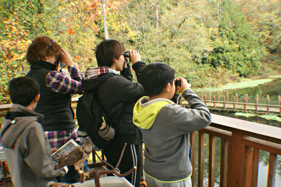 A group of participants in the backyard birding workshop try to spot different varieties in the surrounding trees. (Contributed photo)