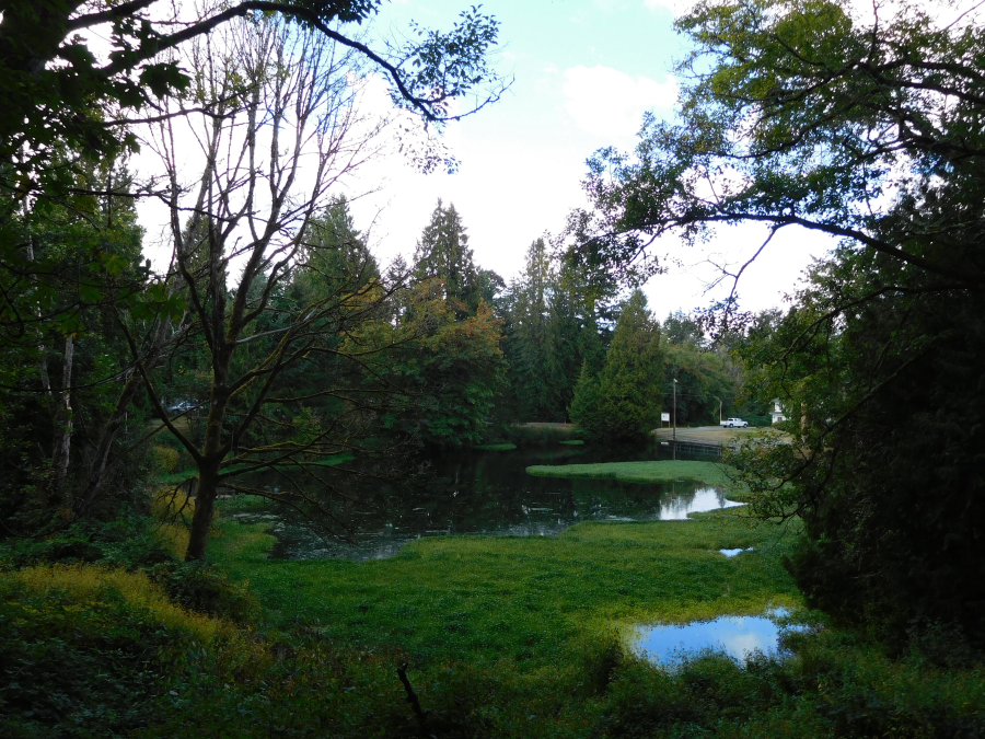 Columbia Springs is home to the Vancouver Trout Hatchery, which was built in 1938.