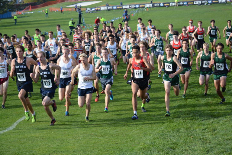 Runners climb the first hill of the 4A boys state championship race on the Sun Willows Golf Course in Pasco. Yacine Guermali (874), Daniel Maton and the rest of the Papermakers are on the right.