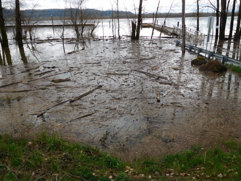 Water, logs and debris choke up Steamboat Landing Park. The dock has been under construction since the winter ice storms fractured a piece away.