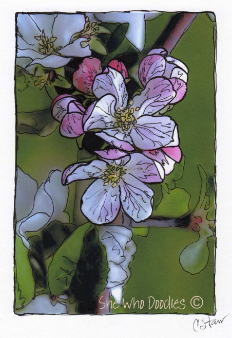 Cyndee Starr enjoys creating freehand doodles as well as doodling over photographs, such as this one.