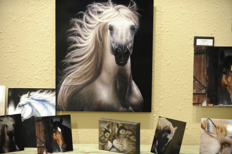 Olsen began painting landscapes 12 years ago, but since then has focused on portraits, with animals as her main subjects.