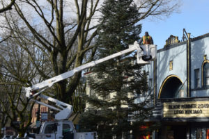 City work crews prepare the tree that will be lit during the Hometown Holidays event on Wednesday, Nov. 29. The Hometown Holidays event is set for Friday, Dec. 1, from 5 to 9 p.m.