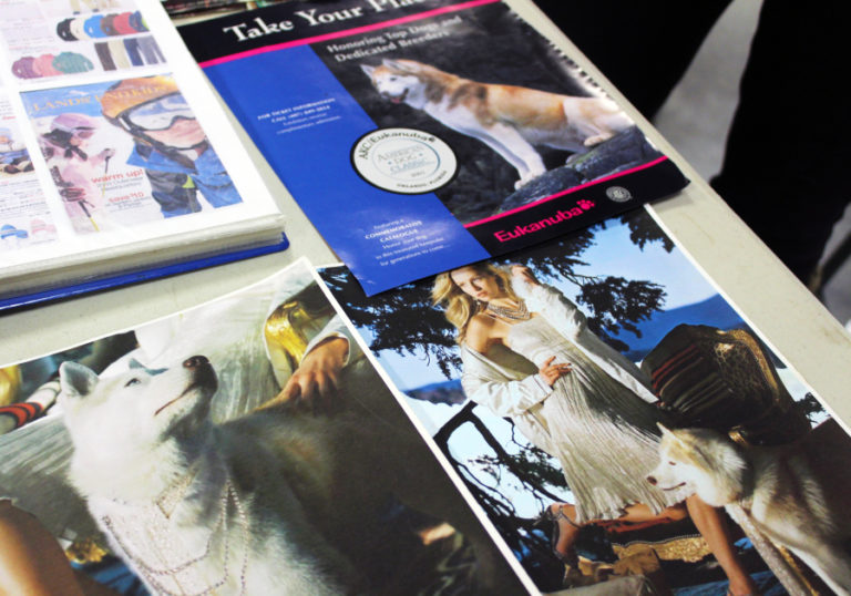 Photos from the Stenlund family&#039;s collection show their Siberian huskies in a variety of print ads, dating back to the late 1990s.