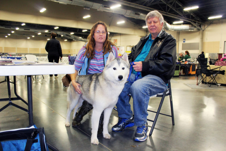 Karen Hamm Stenlund (left) and her father, Wayne Stenlund (right), of Woodland, sit with one of their family&#039;s 13 Siberian huskies, Woody, a 5-year-old grand champion, at the Greater Clark County Kennel Club&#039;s performance dog show in Ridgefield on Monday, Dec. 4.