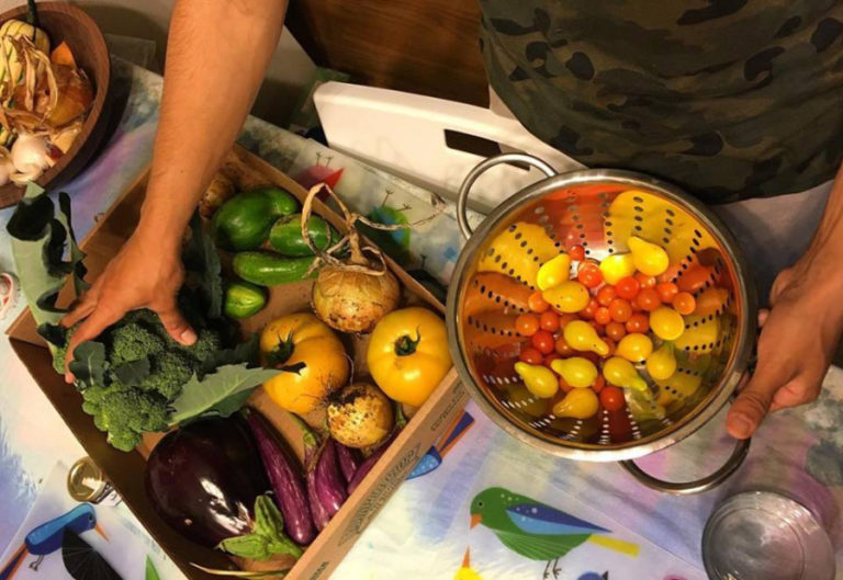 Fresh produce from 50fifty Farm is available through weekly Community Supported Agriculture boxes. Stephanie Faull and Michelle Weeks, the 50fifty farmers, also will bring their produce to the Camas Farmers' Market every other week through the 2018 market season.