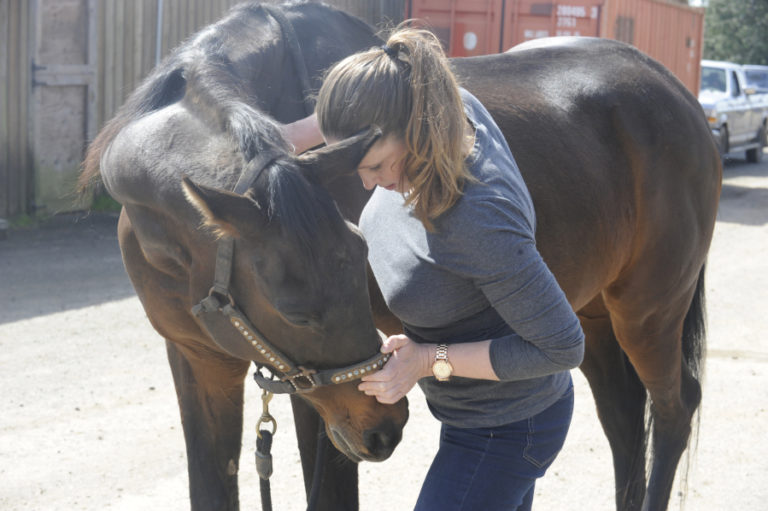 Dr. Karen Holen performs a chiropractic adjustment for Jayme, a 21-year-old mare, at Windy Ridge Farm, on March 29.