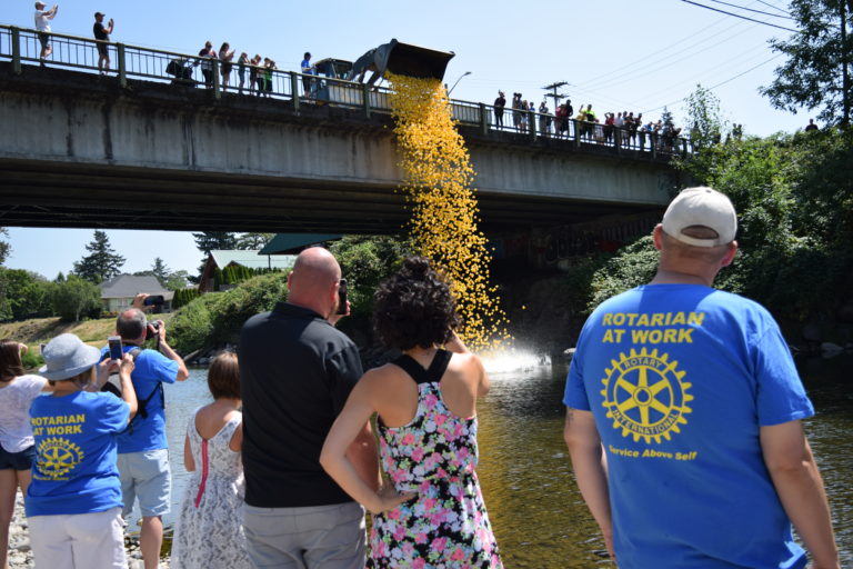 The 24th annual Ducky Derby begins with 5,000 yellow ducks taking a dive off the Third Avenue Bridge in Camas, Sunday, July 29.
