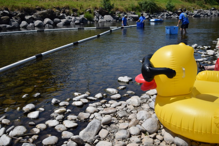 A blow up duck awaits the 5,000 little rubber ducks making their way down stream toward the race finish line.