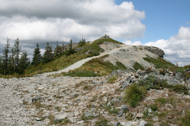 Bursts of color from wildflowers decorates the hillsides below stunning rock formations along the Grouse Vista to Silver Star Trail.