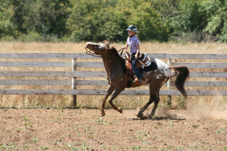 Aubrie Wheeler, 8, pictured here on her pony, &quot;Little Romeo,&quot; on her family&#039;s Camas farm, has been riding horses since she learned to walk.