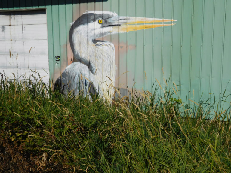 Washougal artist Travis London named this artwork, &quot;Wilson Cady Heron,&quot; in honor of Wilson Cady, a Washougal birding enthusiast and longtime member of the Vancouver Audubon Society. The painting is located at Textured Forest Products, 720 S. 27th St., Washougal.