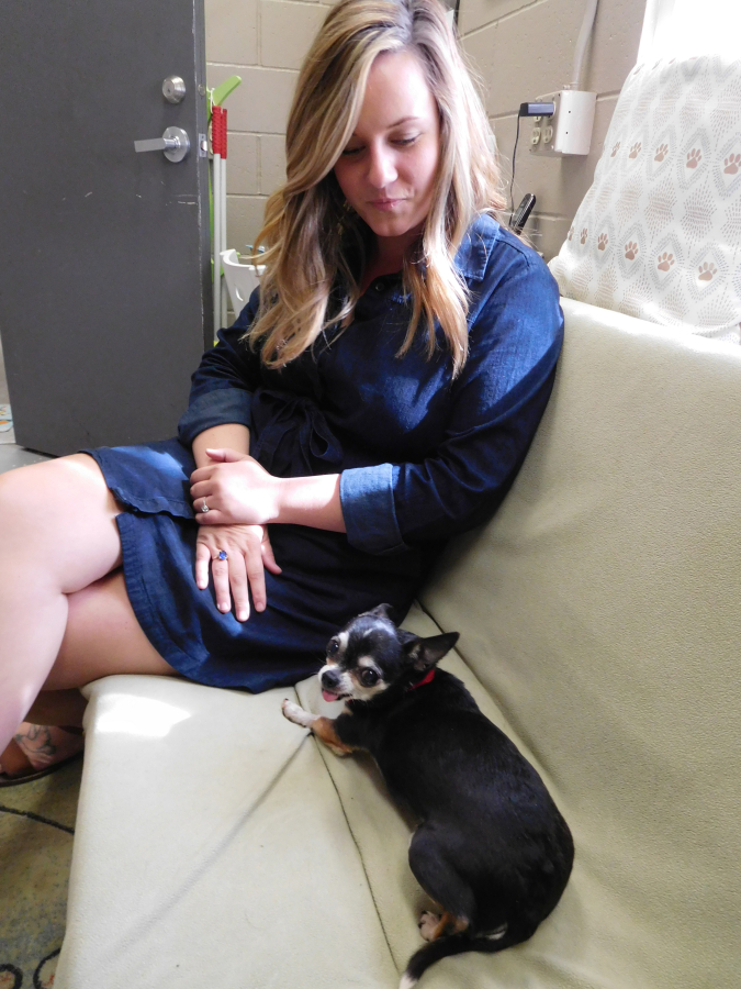 West Columbia Gorge Humane Society Director of Operations Megan Collins visits with &quot;Rina,&quot; a stray female chihuahua, in the WCGHS dog shelter&#039;s meet and greet area, Aug. 23. A couple adopted &quot;Rina&quot; four days later.