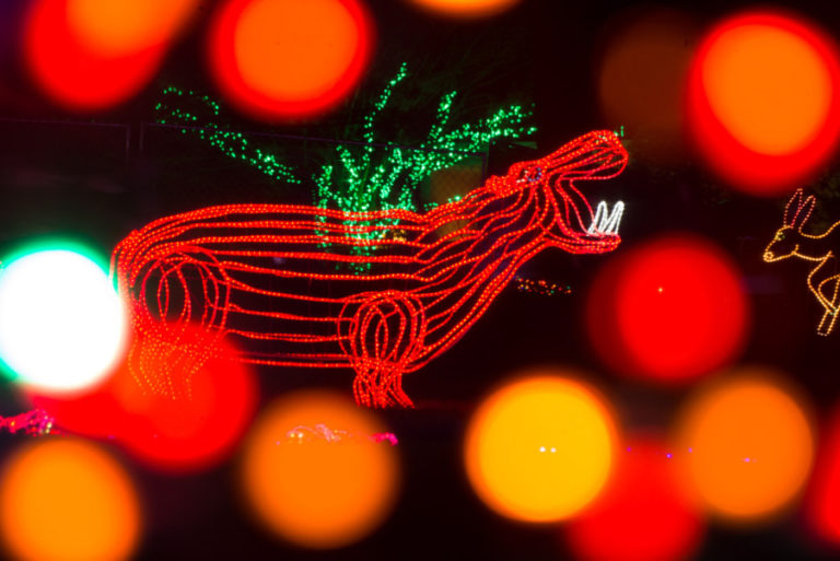 ZooLights, at the Oregon Zoo in Portland, runs through Jan. 5.