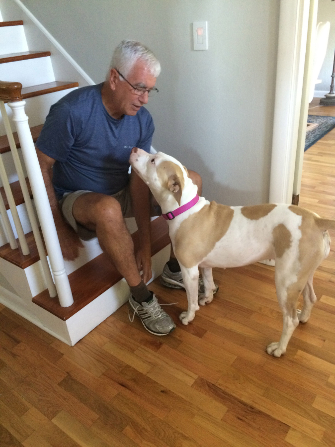 Fred Parrish prepares to take Astara out for a walk. Parrish and his wife, Jeannie Parrish, are volunteer dog fosters for the West Columbia Gorge Humane Society.