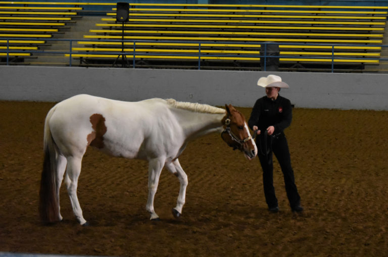 Camas senior Maddie Sheppard displays her showmanship skills at a district meet in Elma, Wash., held in mid-March.