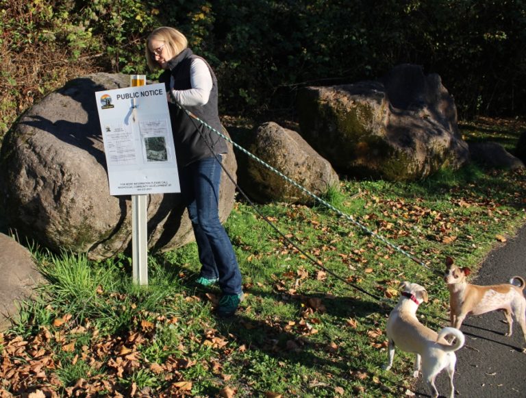 Washougal resident April Engle attaches a pole outside of Kerr Park on Thursday, Oct. 24. The sign notifies passers-by about a city of Washougal public hearing to be held Nov. 12, when the rezoning of a 16-acre parcel of greenspace directly south of the park will be discussed.