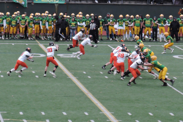 Washougal High School quarterback Dalton Payne prepares to hand off to running back Peter Boylan during the Panthers' game against Lynden High School on Nov. 23.