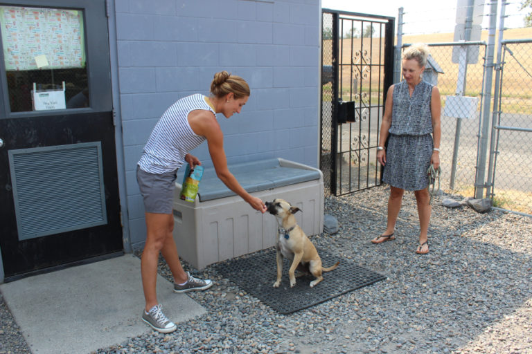 West Columbia Gorge Humane Society volunteer Linnea Justis (left) and WCGHS Board of Directors member Micki Simeone (right) play with Bailey, a 2-year-old dog that was up for adoption, in August 2017.