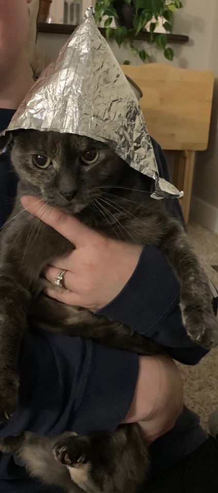 As part of this year's West Columbia Gorge Humane Society's "Hike on the Dike" virtual event, local residents are encouraged to submit photos of their pets for weekly prizes.