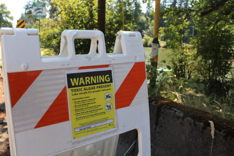 Another "toxic algae present" warning sign stands near the Northeast Everett Street bridge in Camas, on the shores of Lacamas Lake.