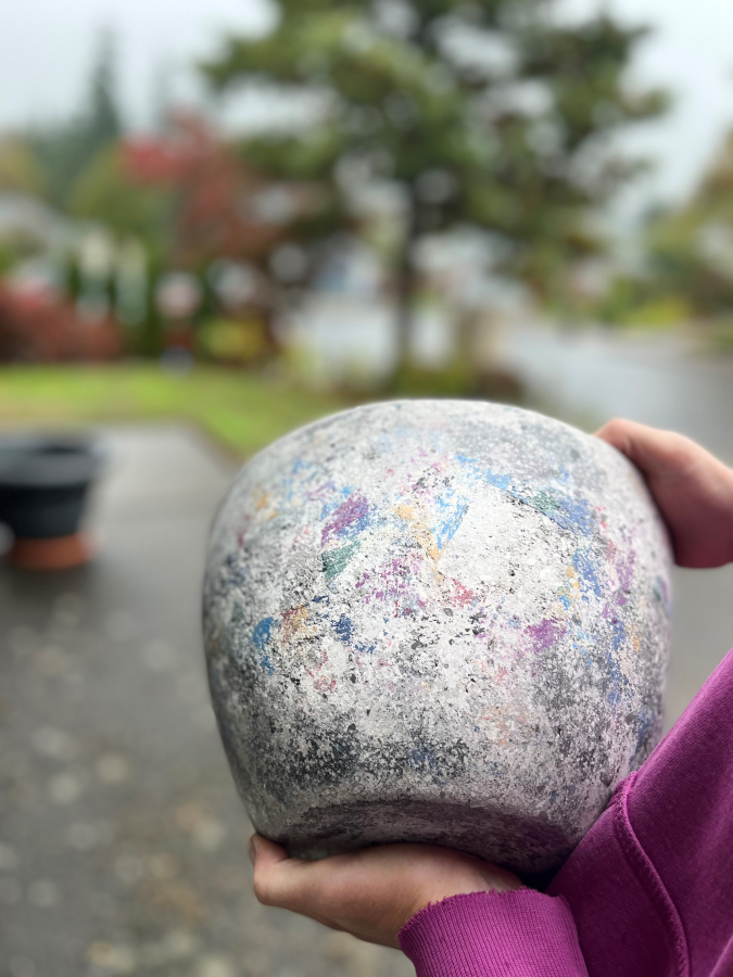 Camas artist Cheryl Mathieson draws inspiration from the outdoors for her paintings.
