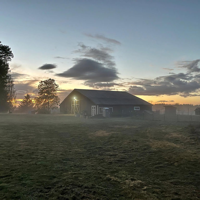 Good Year Farms&#039;  barn, pictured above, &quot;always has something new&quot; for repeat visitors, according to nursery owner Hannah Schrager.