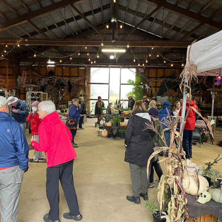 Contributed photo courtesy Hannah Schrager 
 Good Year Farms&#039; customer appreciation party, held at the Washougal nursery in December 2022, featured free food, a crafting table, and discounted plants and gifts, including live evergreen trees, handmade wares and nature goods. (Contributed photo courtesy Hannah Schrager)