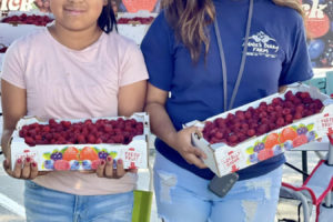 Annie's Berry Farm vendors display flats of fresh raspberries during the 2022 Camas Farmer's Market. This year's market will kick off at 3 p.m. Wednesday, June 4, 2025, in downtown Camas, between Camas City Hall and the Camas Public Library on Northeast Fourth Avenue. The 2025 market will run from 3 to 7 p.m. each Wednesday through Oct. 1. (Contributed photo courtesy of Downtown Camas Association)